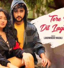 Tere Bina Dil Lagta Nahi Lyrics - Lakhwinder Wadali